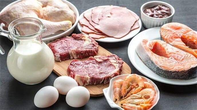 foods allowed in a protein diet