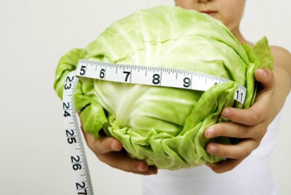 Cabbage diet for weight loss. 